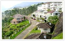 Ayur County Resorts