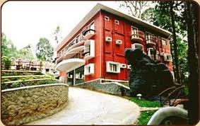 Forest Haven Resorts